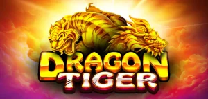 Các cửa cược trong Dragon Tiger (Rồng Hổ)